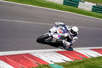 cadwell-no-limits-trackday;cadwell-park;cadwell-park-photographs;cadwell-trackday-photographs;enduro-digital-images;event-digital-images;eventdigitalimages;no-limits-trackdays;peter-wileman-photography;racing-digital-images;trackday-digital-images;trackday-photos